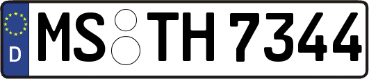 MS-TH7344