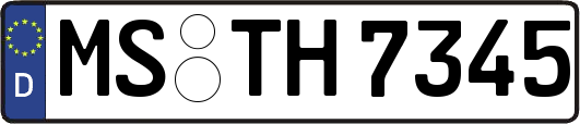 MS-TH7345