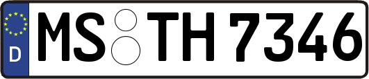 MS-TH7346