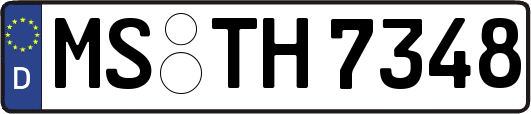MS-TH7348