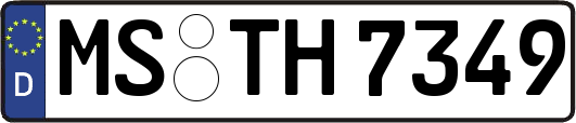 MS-TH7349