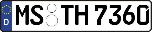 MS-TH7360