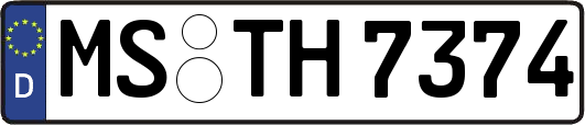MS-TH7374