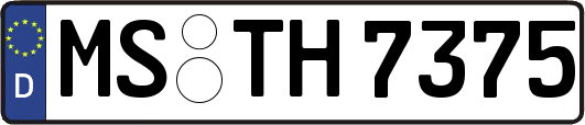 MS-TH7375