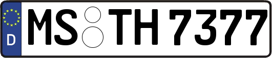MS-TH7377