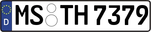 MS-TH7379