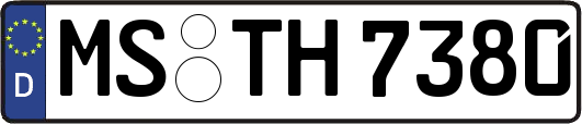 MS-TH7380