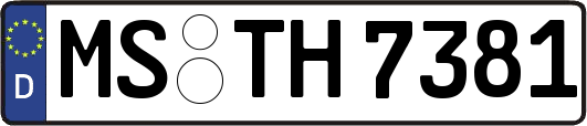 MS-TH7381