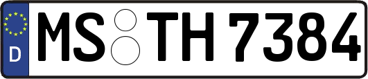 MS-TH7384