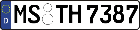 MS-TH7387