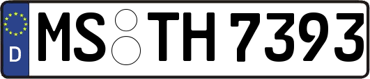 MS-TH7393