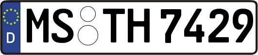 MS-TH7429