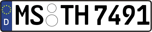 MS-TH7491