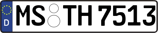 MS-TH7513
