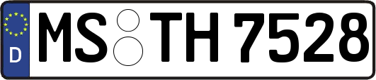 MS-TH7528