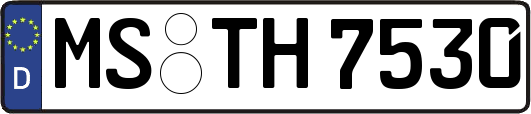 MS-TH7530