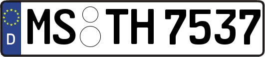 MS-TH7537