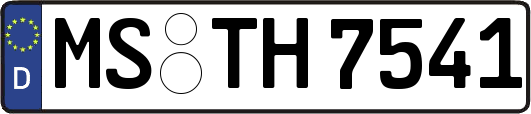 MS-TH7541