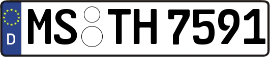MS-TH7591