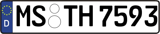 MS-TH7593