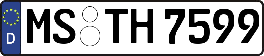 MS-TH7599