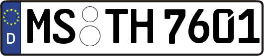 MS-TH7601