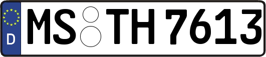 MS-TH7613