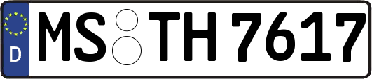MS-TH7617