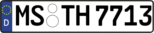 MS-TH7713