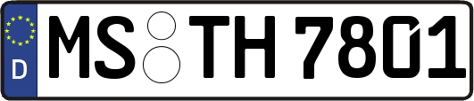 MS-TH7801