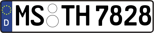 MS-TH7828
