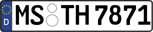 MS-TH7871