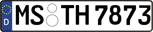 MS-TH7873