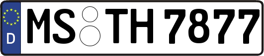 MS-TH7877