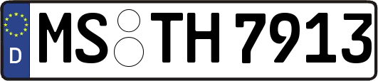 MS-TH7913