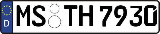 MS-TH7930