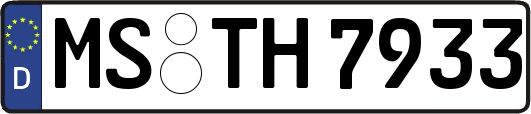 MS-TH7933