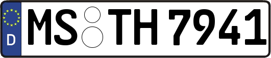 MS-TH7941