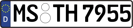 MS-TH7955