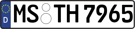 MS-TH7965
