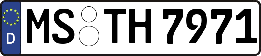 MS-TH7971