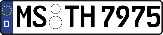 MS-TH7975