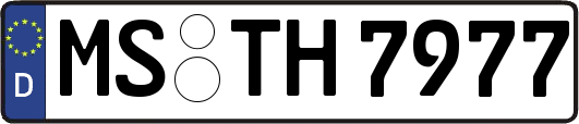 MS-TH7977