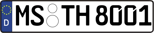 MS-TH8001