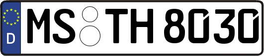 MS-TH8030