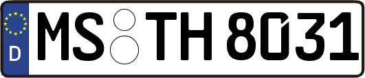 MS-TH8031