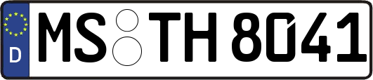 MS-TH8041