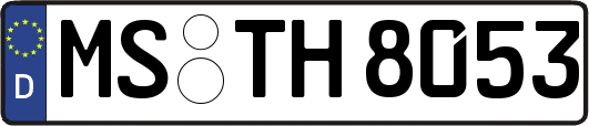 MS-TH8053