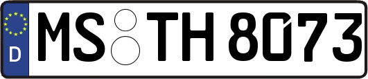 MS-TH8073