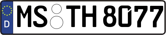 MS-TH8077